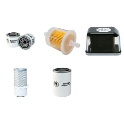Cushman Turf Truckster Filter Service Kit with Kubota D950