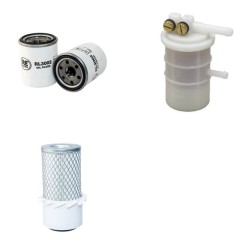 FUJII 1122DF (SchneefrÃ¤se) Filter Service Kit Air Oil Fuel