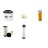 HAKO JONAS 1500D Filter Service Kit Air Oil Fuel Filters w/Kubota D902 Eng.