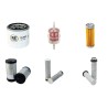 WETROK A 80D Filter Service Kit w/Kubota Z 602 Eu 3 Eng.