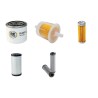 PLATFORM BASKET SPIDER 22.10 EVO Filter Service Kit w/KUBOTA Z 482eng.