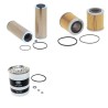 PRIESTMAN LION Filter Service Kit w/DORMAN 5LDeng.  Air Oil Fuel