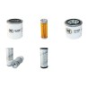 RANSOMES JACOBSEN LF 135 Filter Service Kit w/KUBOTA D 1105 TBeng.  Air Oil Fuel