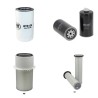 SYLVINOV MD TRACK 250 Filter Service Kit w/FPT F4HE9684PJeng. 01.2018 -  Air Oil Fuel
