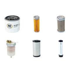 Volvo EC20D Filter Service Kit Air Oil Fuel Filters