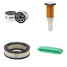 AS MOTOR AS 991 ENDURO Filter Service Kit w/BRIGGS-STRATTONeng.  Air Oil Fuel