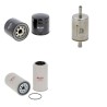 Filter Kit for Bobcat T 66 with Bobcat EV4/D V-0093Engine 01.2021 - Air Oil Fuel