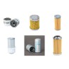 FAI 215 T MAX Filter Service Kit w/YANMAR 3TNA72Eeng.