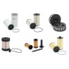IVECO  (FIAT) TRAKKER 450 (...T45) Filter Service Kit w/CURSOR 13 EURO 6 Eng.   YR  11.13-
