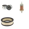 FOGO FV 13000 TRE Filter Service Kit w/BRIGGS-STRATTON VANGU.356447eng.  Air Oil Fuel