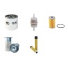 GIANNI FERRARI TURBO VI Filter Service Kit w/KUBOTA V 2003 T EU4eng.