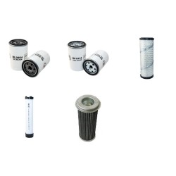 GOLDONI 45 ASTER Filter Service Kit w/LOMBARDINI LDW 2204eng.