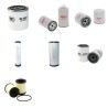 GREEN MECH EVO 205 DR Filter Service Kit w/KUBOTA D1803-CR-T-EW04eng. 01.2021 -