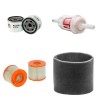 HILLTIP HT 2525 H Filter Service Kit w/BRIGGS-STRATTON VANGUARDeng. 01.2017 -  Air Oil Fuel