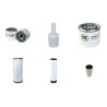 HIMOINSA HRYW 19 T5 Filter Service Kit w/YANMAR 4TNV88eng.  Air Oil Fuel