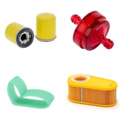 Filter kit for Iseki SWE 5211 VS B4 with Briggs & Stratton 875 EXI Engine Air Oil Fuel