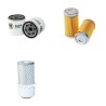 Filter kit for Iseki TL 1900 F with Iseki 3AF1 Engine Air Oil Fuel
