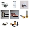 MASSEY FERGUSON 7722 DYNA 6 Filter Service Kit w/AGCO POWER 74AWFeng. 01.2015 -