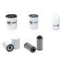 Filter kit for Merlo P 30.10 with DeutzEngine 01.2017 -