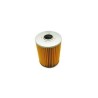BAUDOUIN DP 8 SRI Fuel Filter