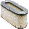 HAYTER T 12 Air Filter
