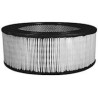 DAF 45.130 Air Filter