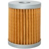 LOMBARDINI 6LD260 (D) Fuel Filter