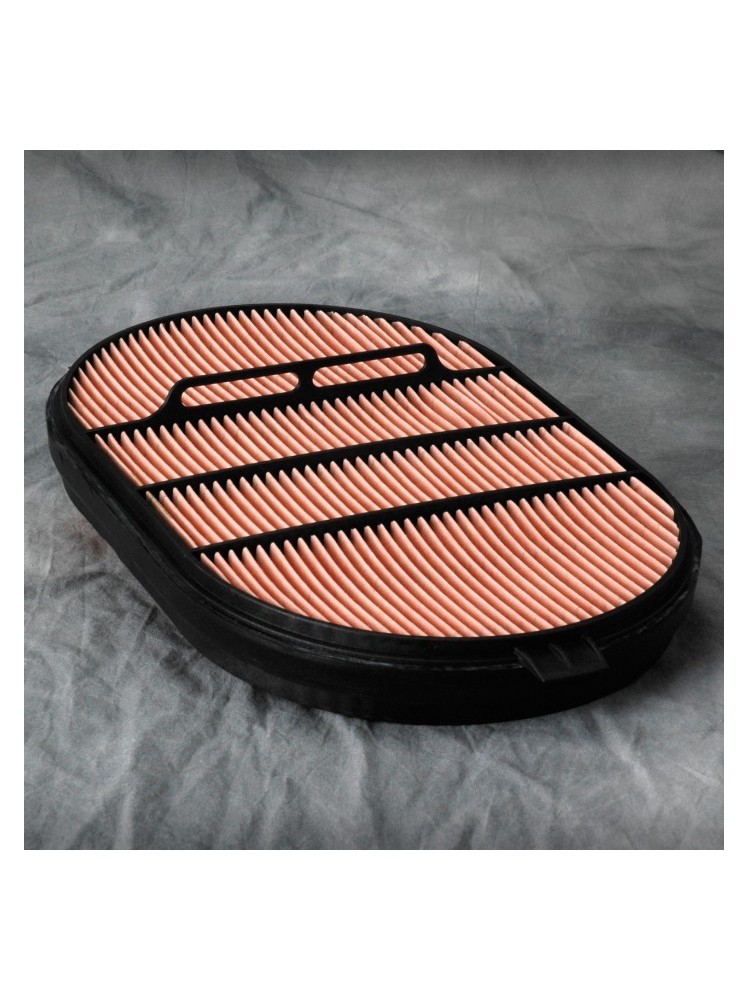 Donaldson P607557 AIR FILTER SAFETY OBROUND