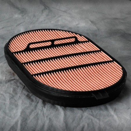 Donaldson P607557 AIR FILTER SAFETY OBROUND