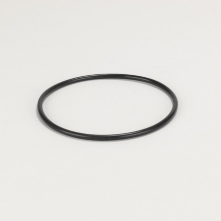 Donaldson P174097 O-RING