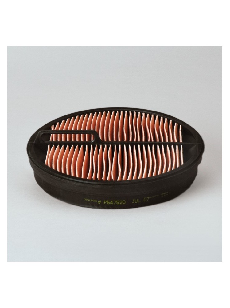 Donaldson P547520 AIR FILTER SAFETY