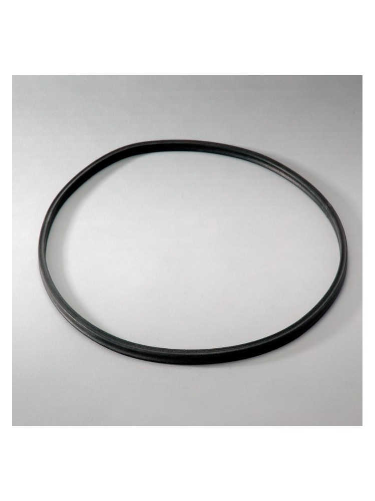 Donaldson P016972 GASKET KIT