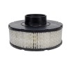 BETA MARINE BETA 75 Air Filter