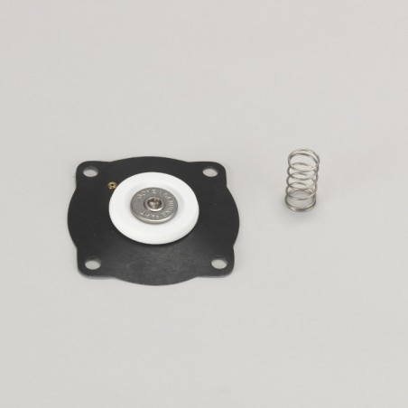 Donaldson AM0512601 REPAIR KIT FOR 25 MM (1") DIAPHRAGM VALVE CONTAINS VITON WITH 4 HOLES AND SPRING