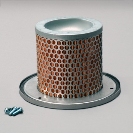 Donaldson P783501 AIR FILTER SAFETY