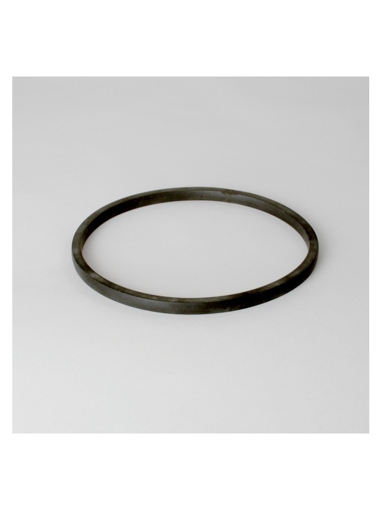 Donaldson P120597 GASKET