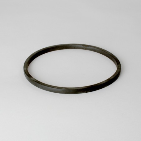 Donaldson P120597 GASKET