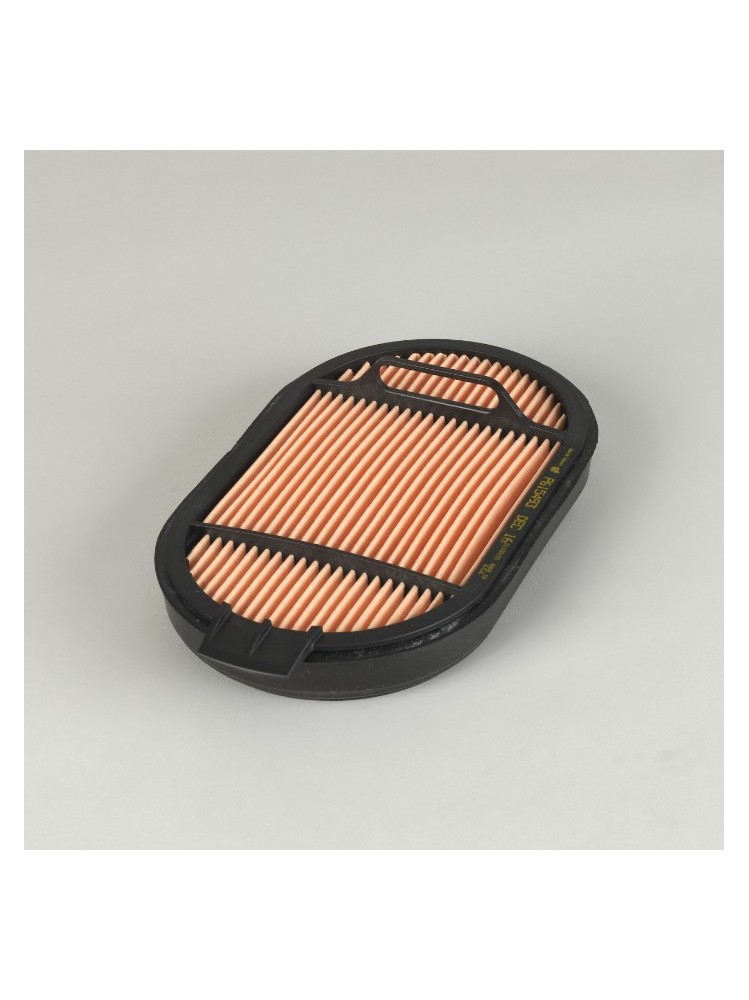 Donaldson P615493 AIR FILTER SAFETY OBROUND
