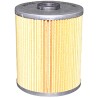 EICHER 4 D 31 Fuel Filter