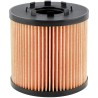 NISSAN VU/LT/LW PRIMASTAR 2.5 DCI Oil Filter