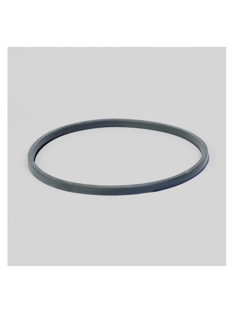 Donaldson P155211 GASKET