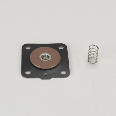 Donaldson 2620069 REPAIR KIT FOR 25 MM (1") DIAPHRAGM VALVE CONTAINS VITON WITH 4 HOLES AND SPRING