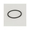 Donaldson P163101 GASKET