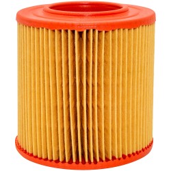 BETA MARINE BETA 28 Air Filter