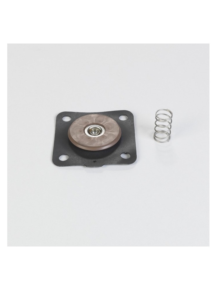 Donaldson 1A25653214 REPAIR KIT FOR 25 MM (1") DIAPHRAGM VALVE CONTAINS VITON WITH 4 HOLES AND SPRING