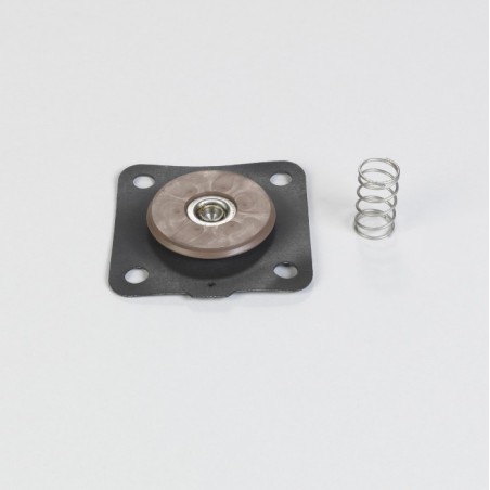Donaldson 1A25653214 REPAIR KIT FOR 25 MM (1") DIAPHRAGM VALVE CONTAINS VITON WITH 4 HOLES AND SPRING