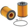 BMW 4X4 X 5 4.4 I Oil Filter