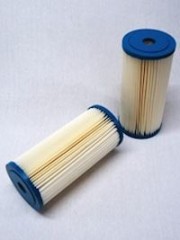 SW 10/PL01-BB Water filter element