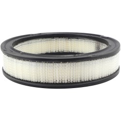 JEEP CJ 7 2.4 Filter