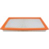 Baldwin PA2181 Panel Air Element Filter | RICO Europe